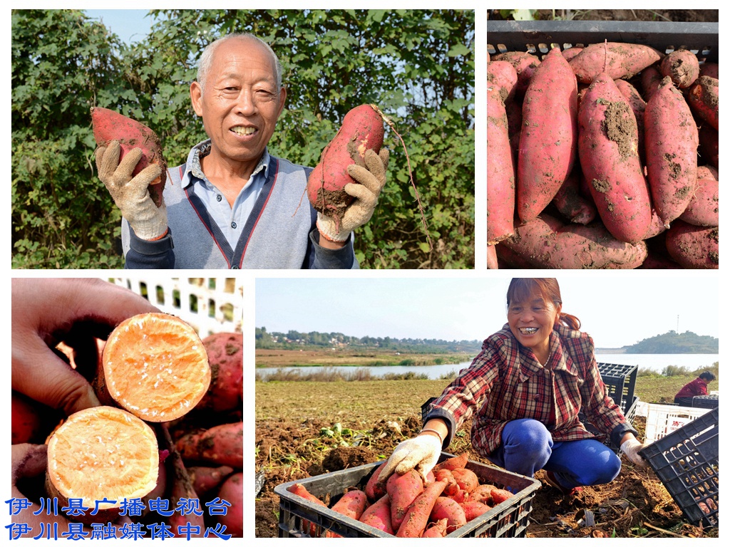 建业富硒产品（建业富硒产品介绍）-硒宝网