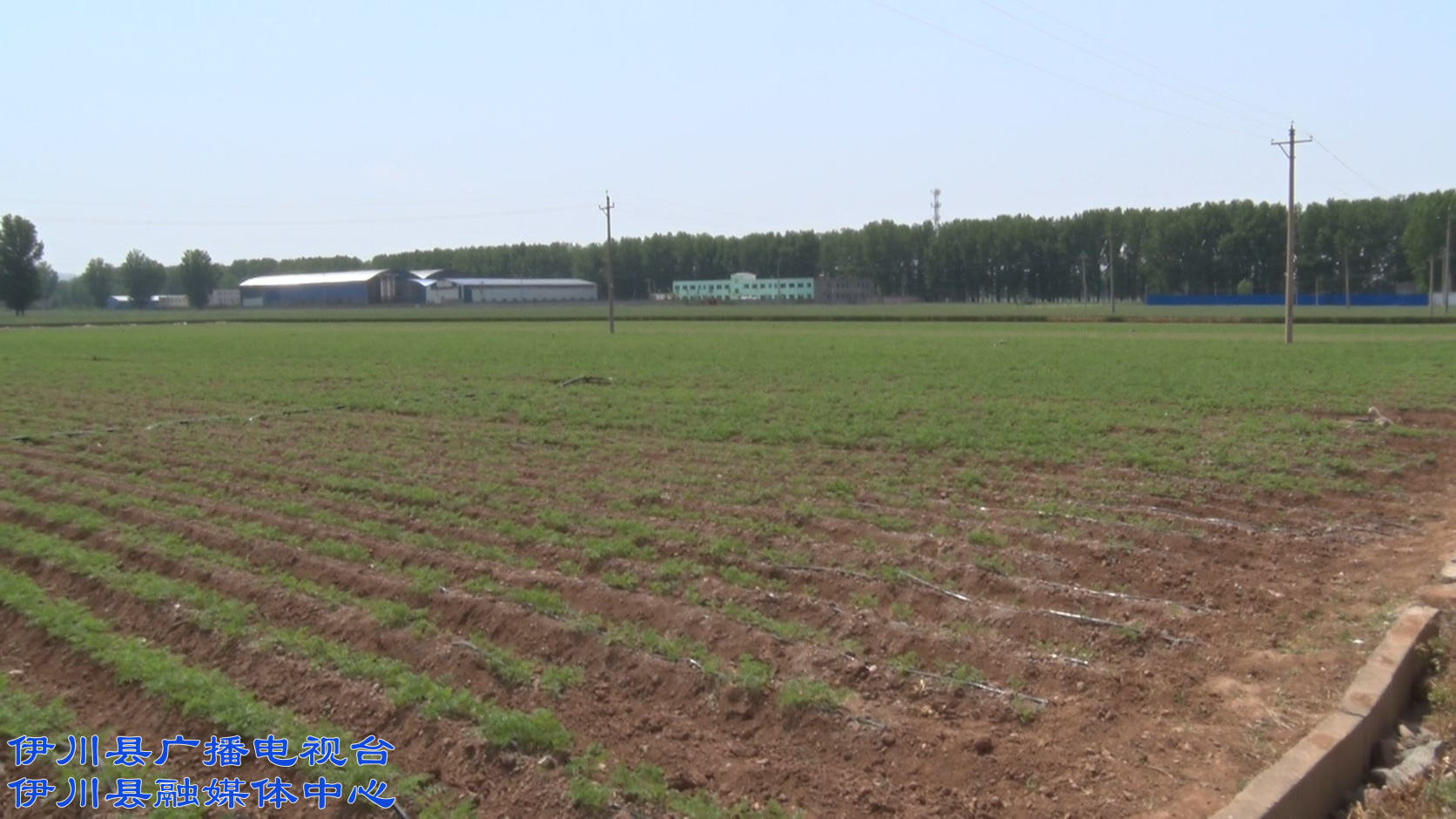 建业富硒产品（建业富硒产品介绍）-硒宝网