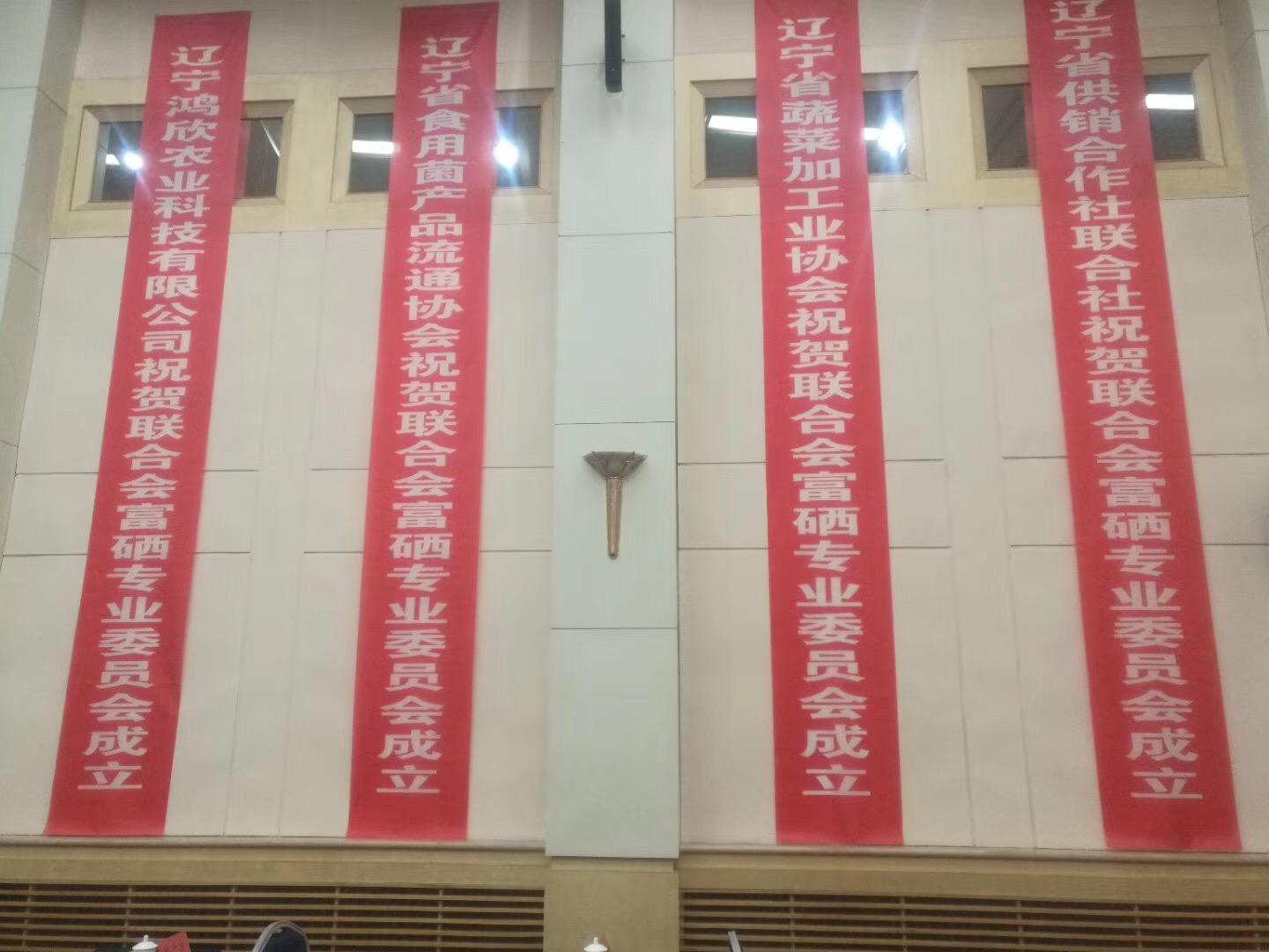 辽宁富硒产品(辽宁富硒地区)-硒宝网