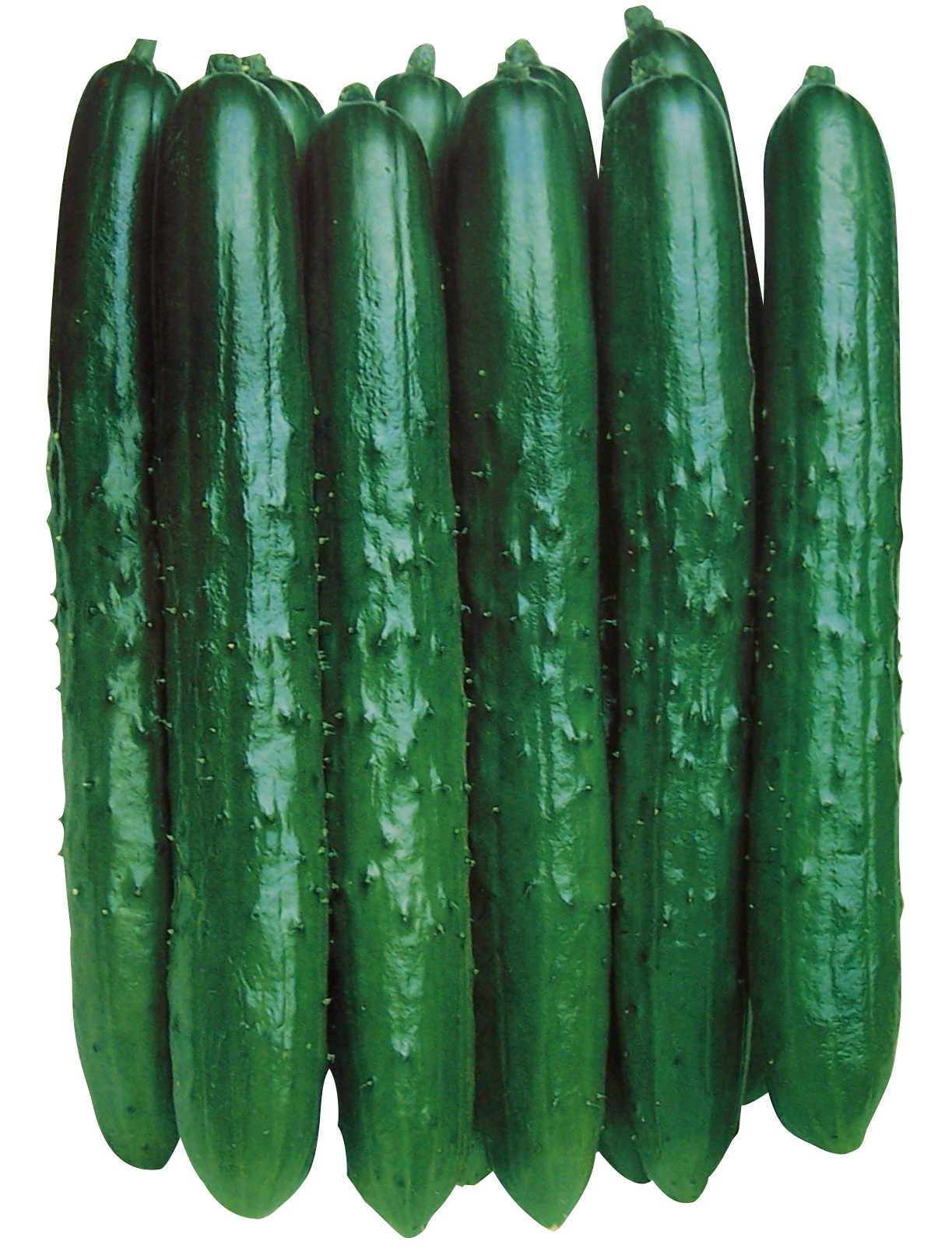 富硒产品栽培（栽培富硒产品是什么）-硒宝网