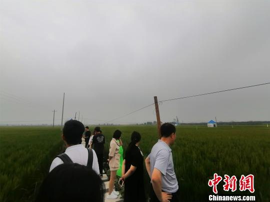 辽宁富硒产品(辽宁富硒产品有哪些)-硒宝网