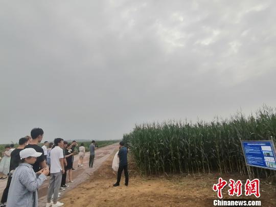 辽宁富硒产品(辽宁富硒产品有哪些)-硒宝网