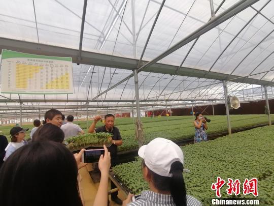 辽宁富硒产品(辽宁富硒产品有哪些)-硒宝网