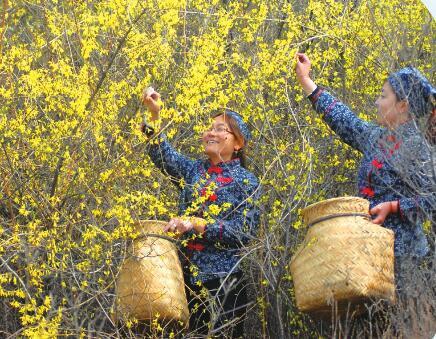 龙游富硒产品(龙游富硒大米)-硒宝网