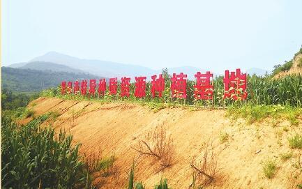 龙游富硒产品(龙游富硒大米)-硒宝网