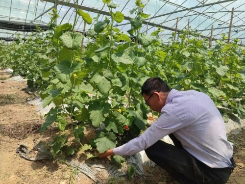 富硒产品商城(富硒产品专卖店)-硒宝网