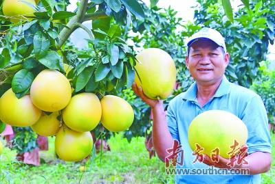 连州富硒产品(连州富硒土壤分布)-硒宝网