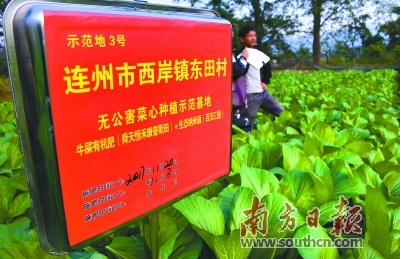 连州富硒产品(连州富硒产品价格)-硒宝网