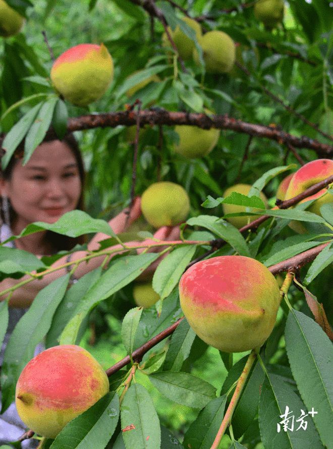 连州富硒产品（连州富硒产品介绍）-硒宝网