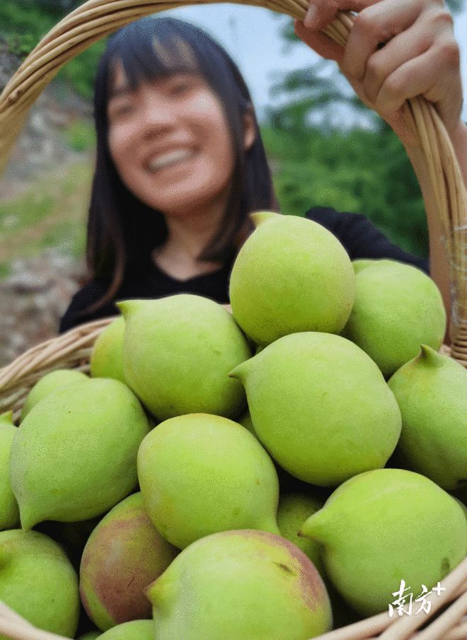 连州富硒产品（连州富硒产品介绍）-硒宝网