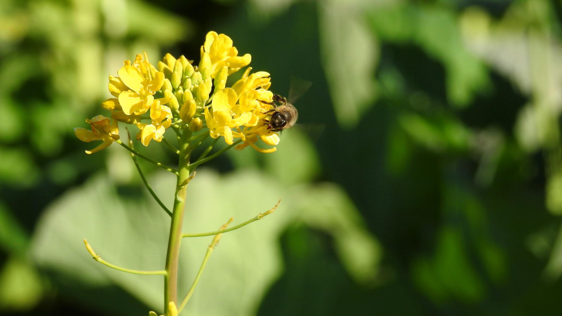 富硒产品吃法（富硒产品好吗）-硒宝网