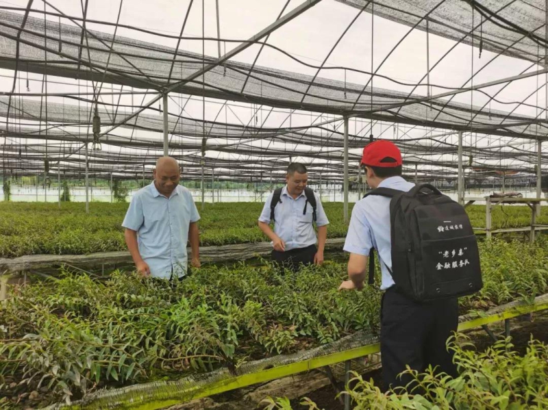 连城富硒产品(连城富硒特产)-硒宝网