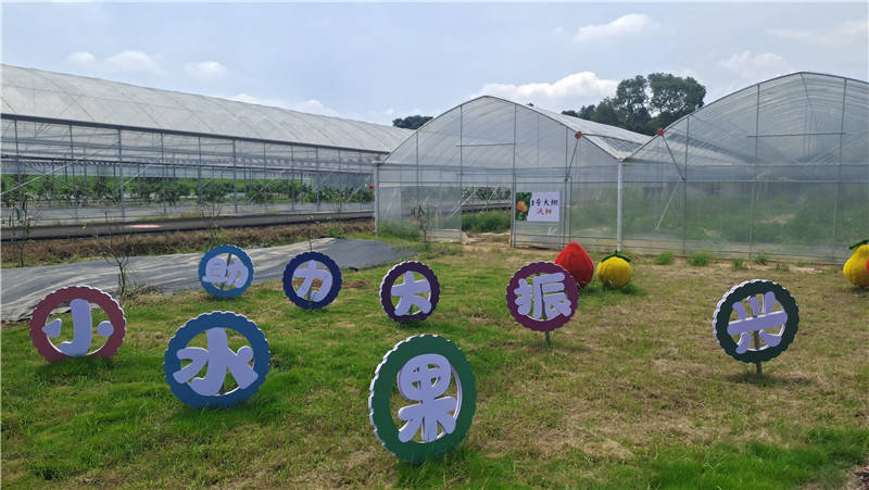 连城富硒产品(连城富硒特产)-硒宝网