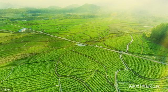 连州富硒产品（连城富硒）-硒宝网