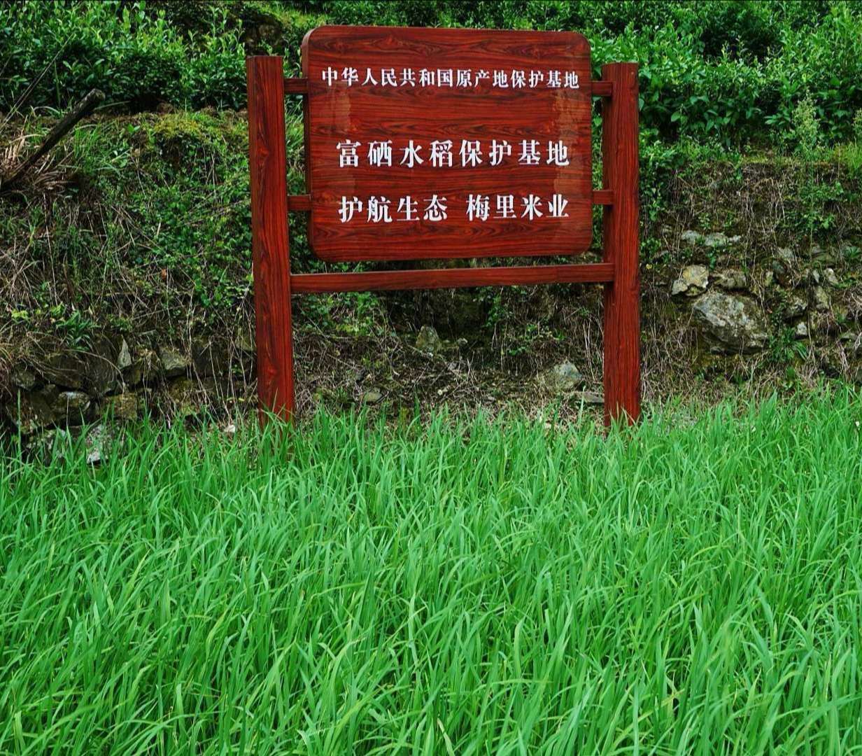 富硒产品政策（国家富硒农产品）-硒宝网