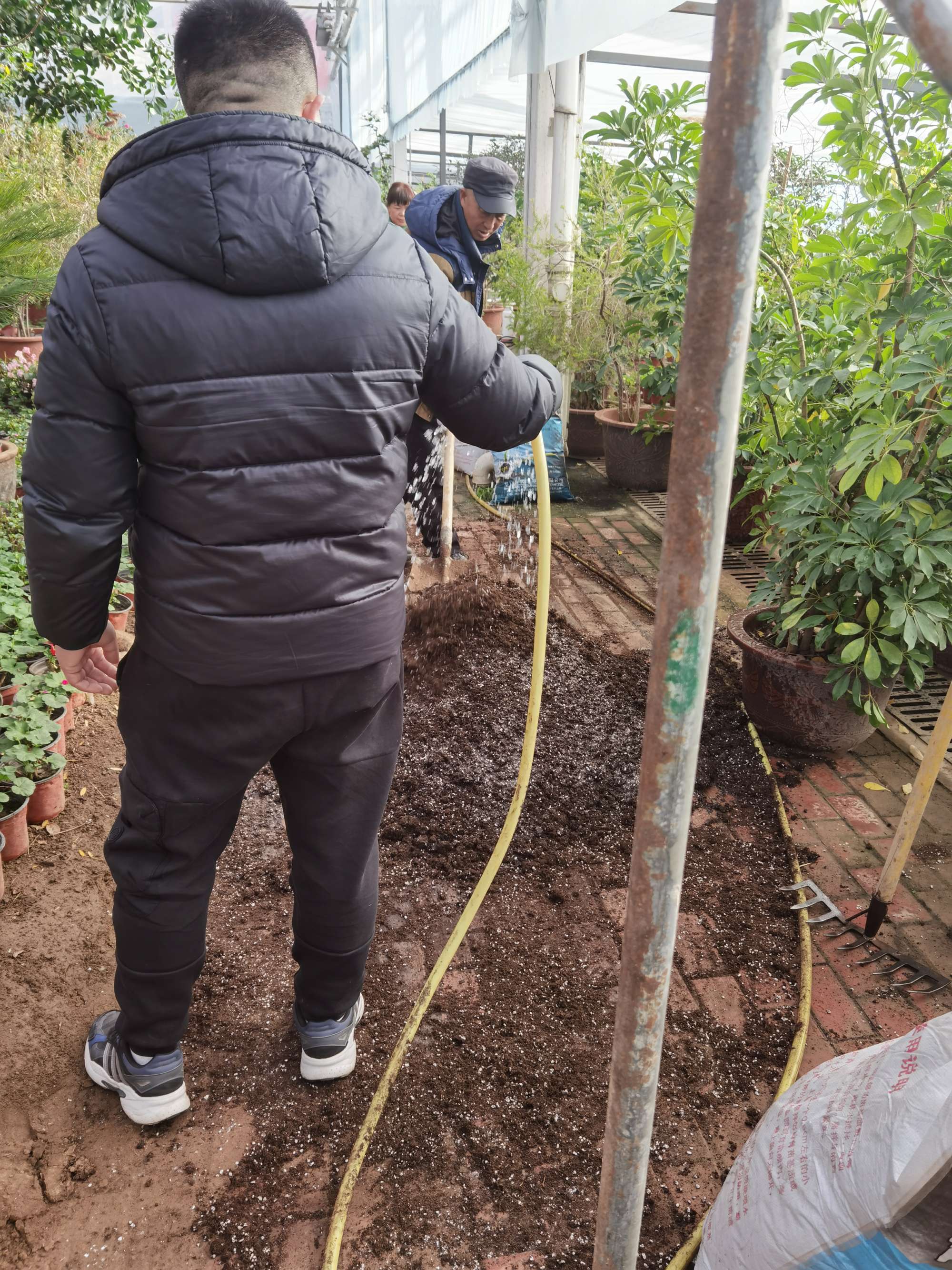 富硒产品栽培（富硒种植）-硒宝网