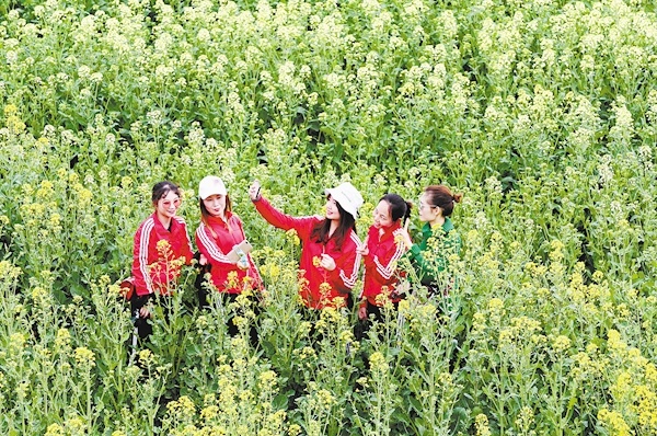 京山富硒产品(京康富硒茶)-硒宝网