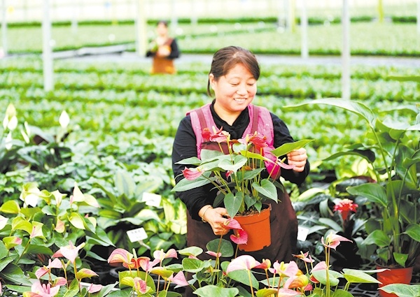 京山富硒产品(京康富硒茶)-硒宝网