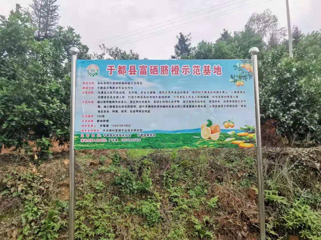 富硒旅游产品（旅游富硒产品有哪些）-硒宝网