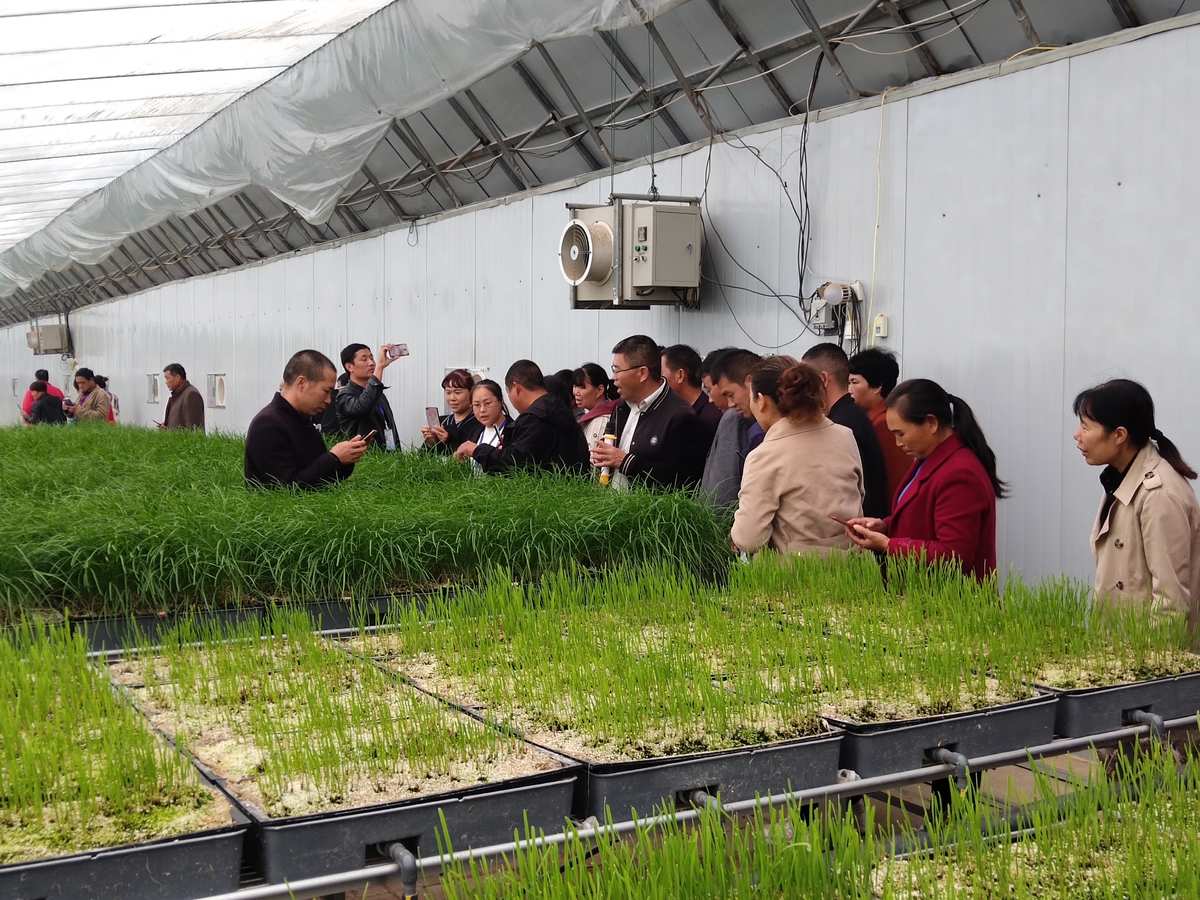 贵阳富硒产品（贵州富硒农业投资有限公司）-硒宝网