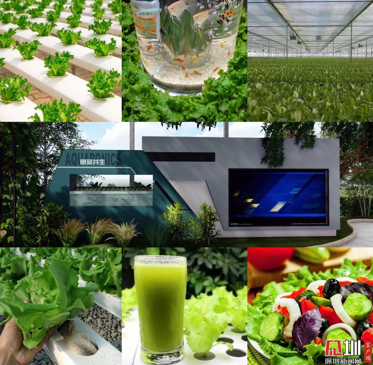 丰城富硒产品（丰城富硒产品价格）-硒宝网