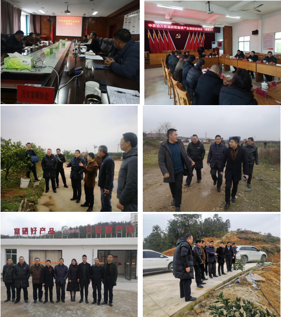 国际富硒产品(富硒国际产品介绍)-硒宝网