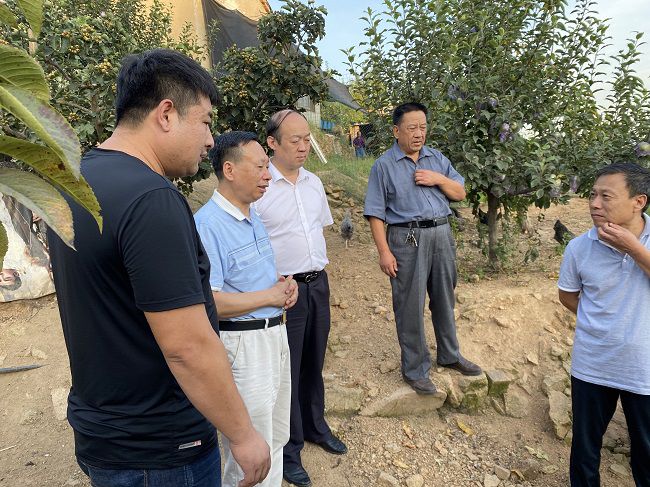 富硒农场产品(农场富硒产品有哪些)-硒宝网