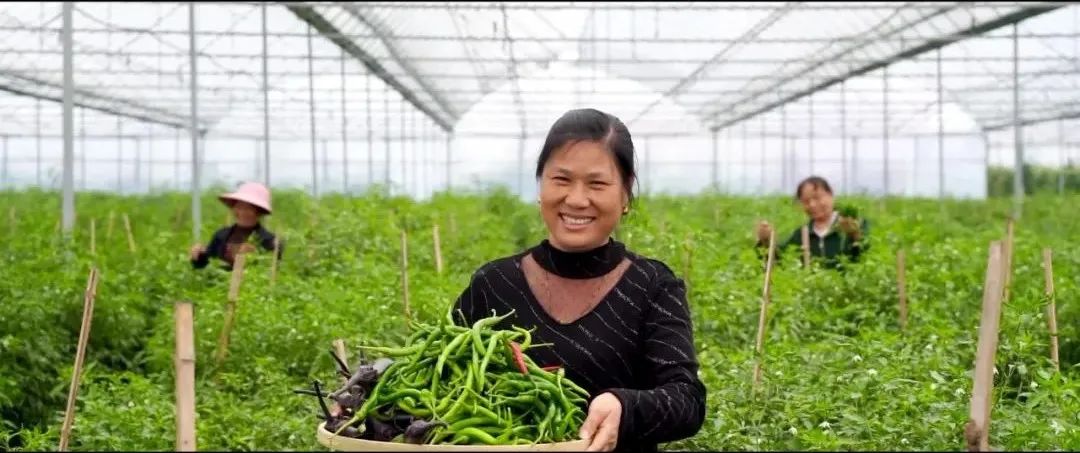 富硒产品宁夏(富硒厂家)-硒宝网