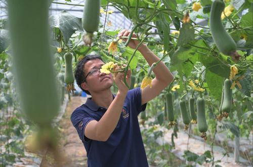 富硒产品推荐(推荐富硒产品的理由)-硒宝网