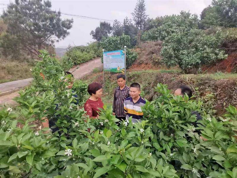 富硒大米产品（富硒的大米）-硒宝网