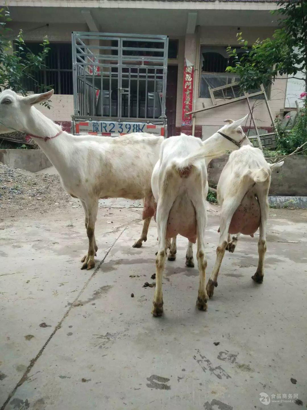 富硒产品基地（富硒产业基地）-硒宝网