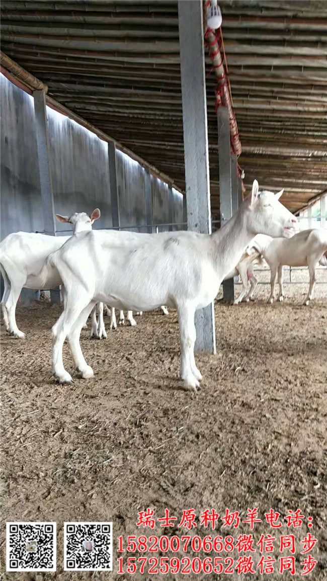 富硒产品基地（富硒产业基地）-硒宝网