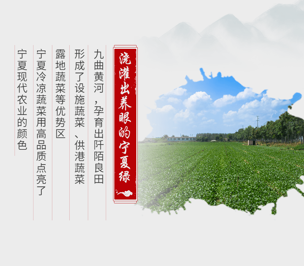 宁夏富硒产品(石嘴山富硒)-硒宝网