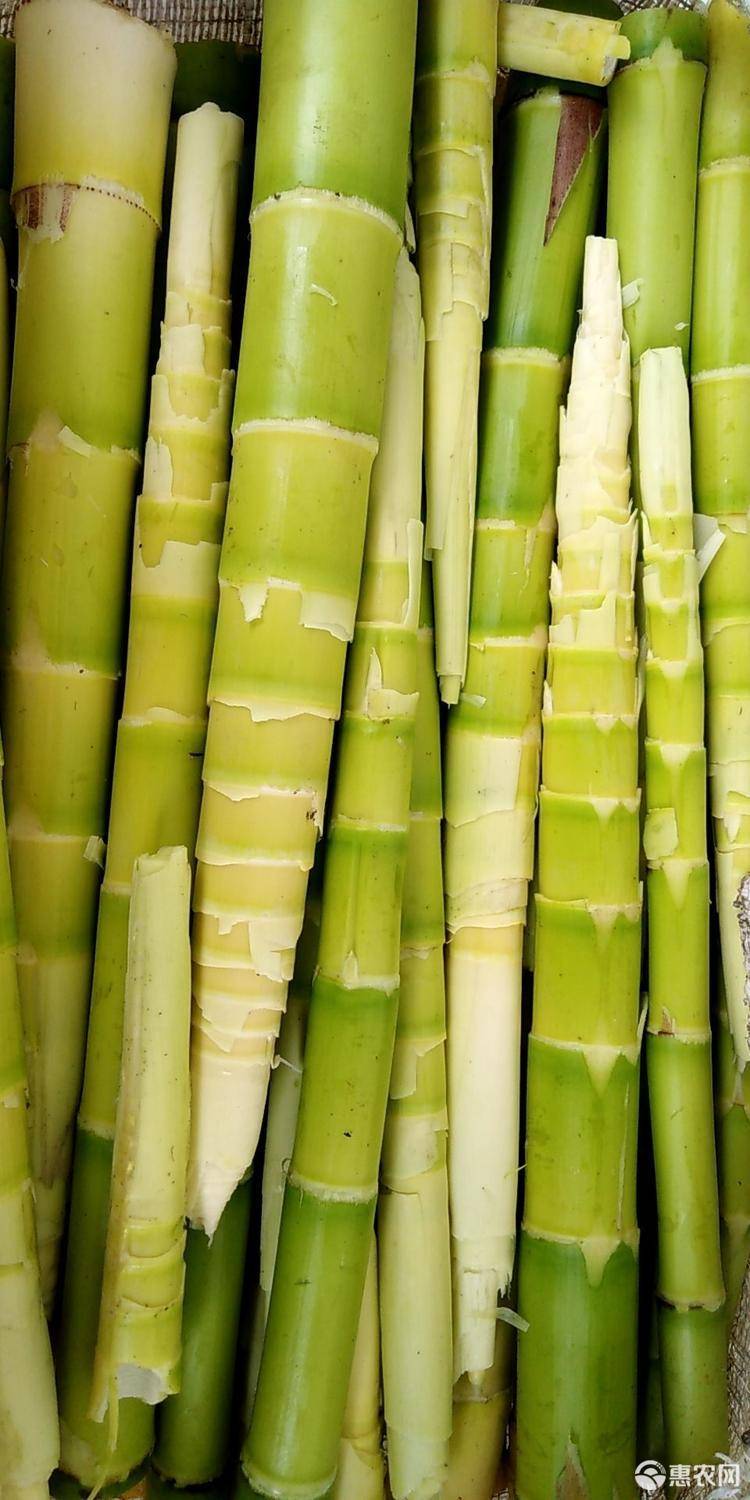 天然富硒产品(天然富硒产品怎么样)-硒宝网