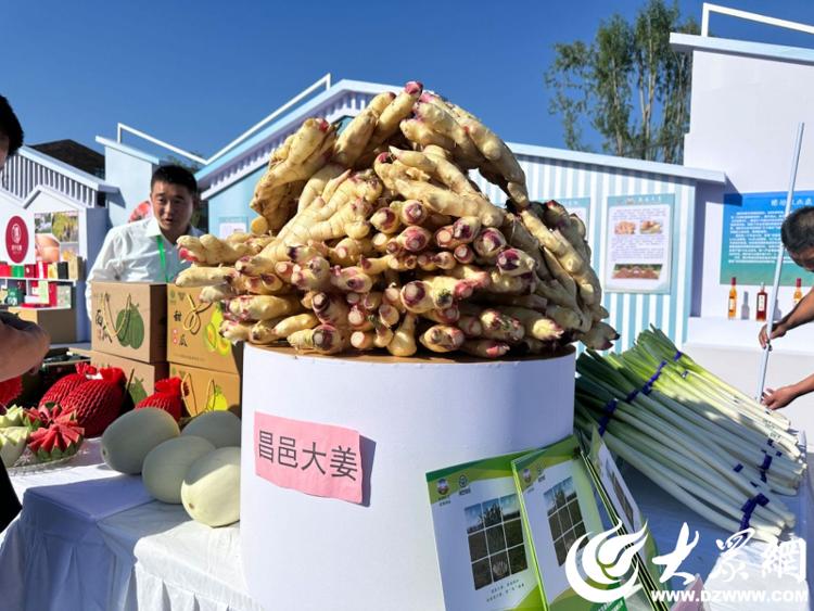 德州富硒产品(山东富硒)-硒宝网