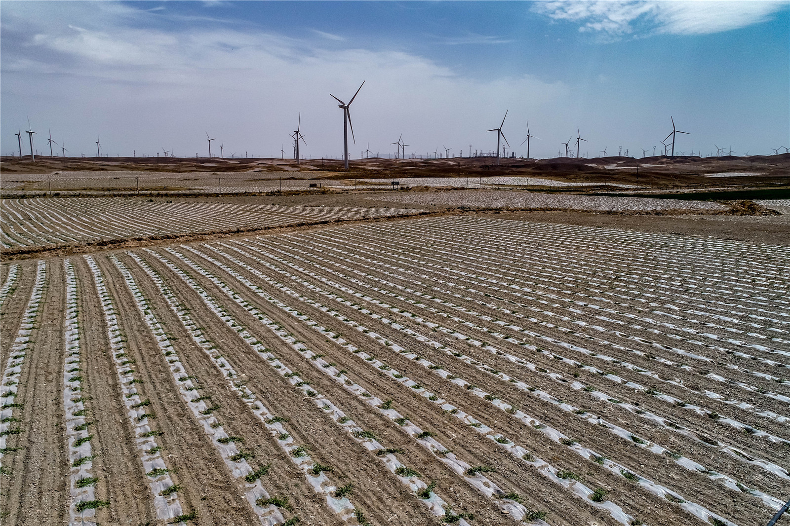 宁夏富硒产品(富硒产品厂家)-硒宝网