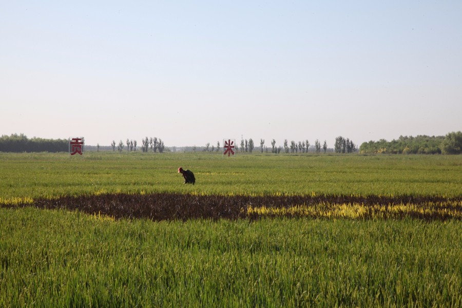 宁夏富硒产品(富硒产品厂家)-硒宝网