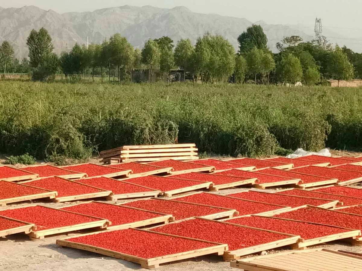 宁夏富硒产品(富硒产品厂家)-硒宝网