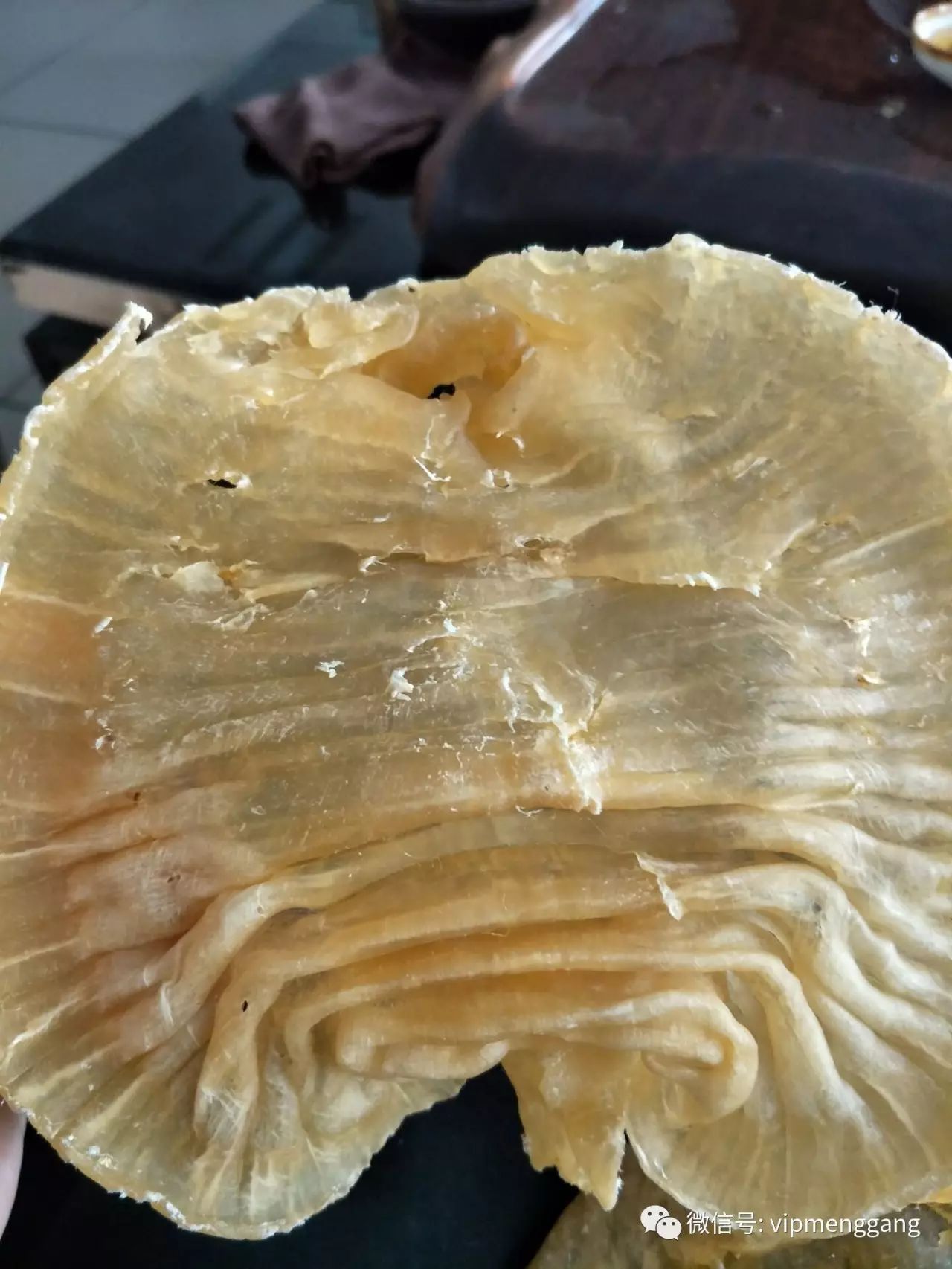 富硒鱼胶产品(富硒鱼胶产品有哪些)-硒宝网