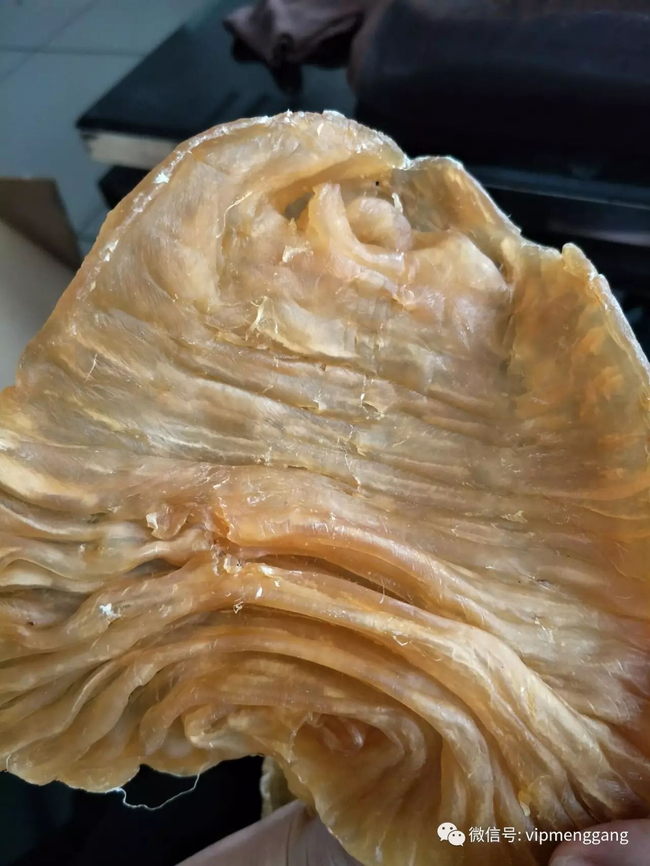 富硒鱼胶产品(富硒鱼胶产品有哪些)-硒宝网