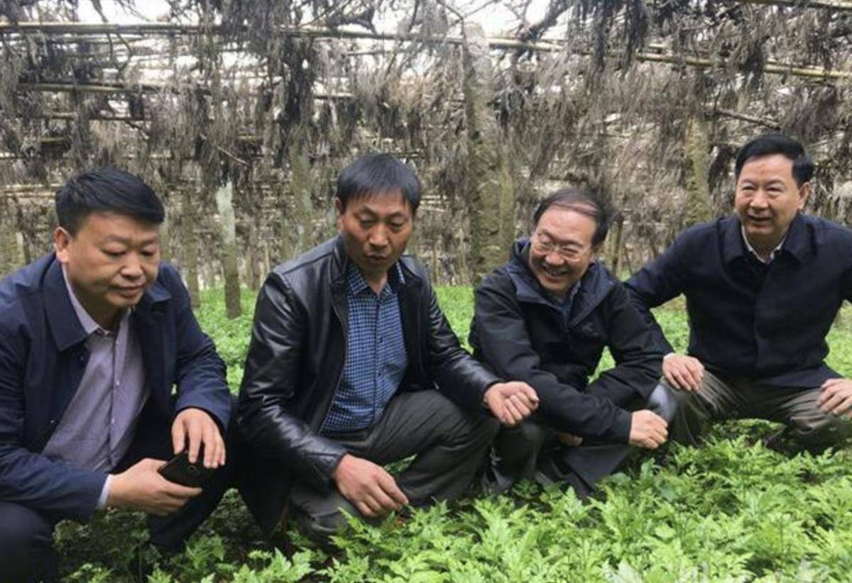 富硒产品培育（富硒植物培育技术的研究）-硒宝网