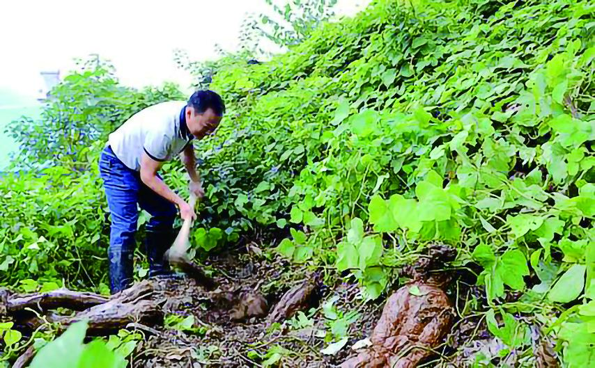 富硒产品饮料(饮料富硒产品是什么)-硒宝网