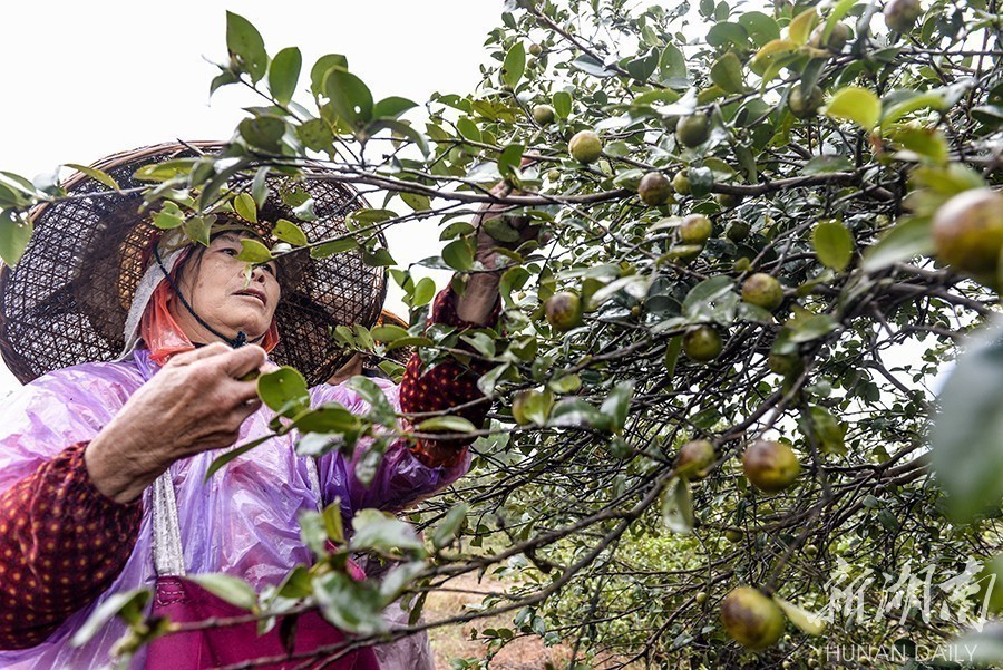 麻阳富硒产品（麻阳富硒水）-硒宝网