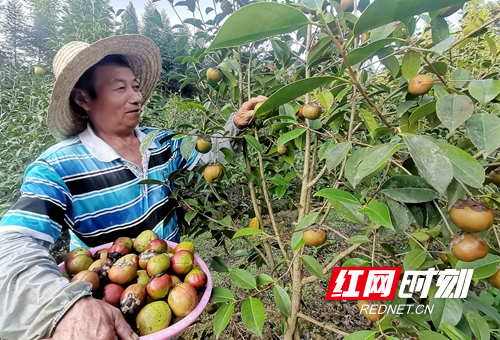 麻阳富硒产品（麻阳富硒水）-硒宝网