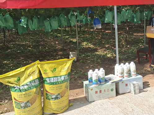 富硒食品产品（富硒食品有）-硒宝网