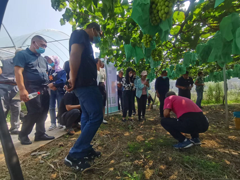 富硒食品产品（富硒食品有）-硒宝网