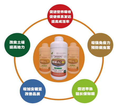 富硒食品产品（富硒食品有）-硒宝网