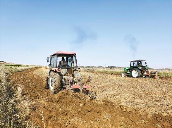 富硒产品咋样（富硒产品对人体有什么好处）-硒宝网