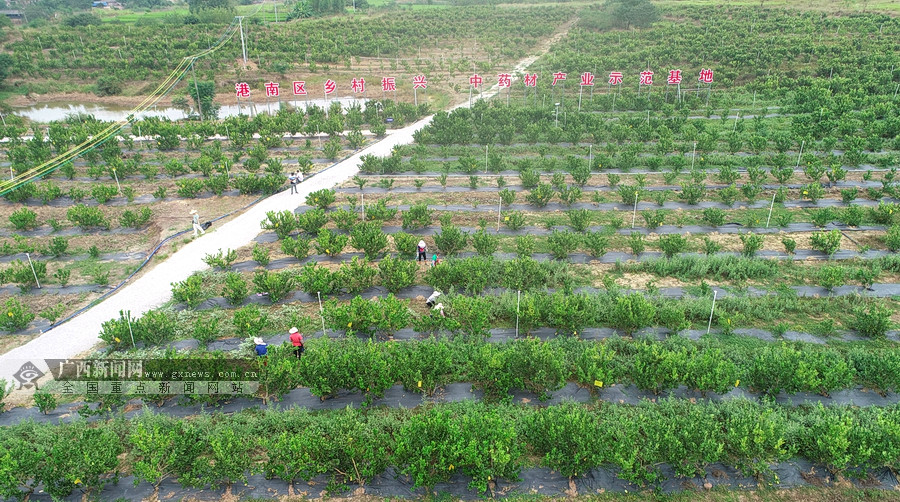 内蒙富硒产品(内蒙古富硒)-硒宝网