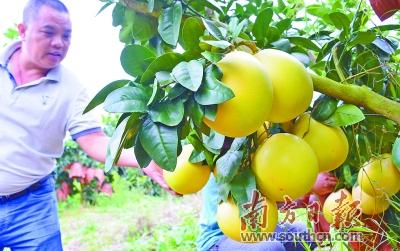 富硒产品概念（富硒产品）-硒宝网